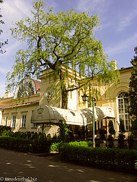 Alte Orangerie - Café