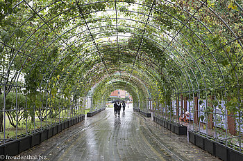 Grüner Durchgang in Suwon