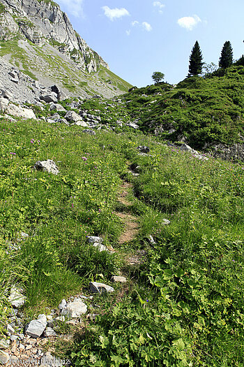 Abstieg vom Mürtschenfurggel zum Spaneggsee