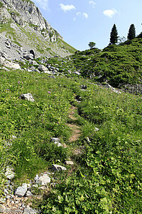 Abstieg vom Mürtschenfurggel zum Spaneggsee