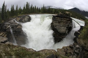 Athabasca Wasserfälle