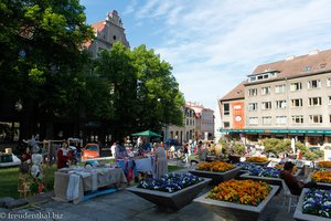 Markt und Blumenbeete in Tallinn