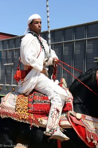 Ein Reiter bei Fantasia oder Laab el-baroud in Marokko