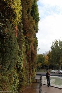 Vertikale Garten beim Caixa Forum, Grüne Mauer in Madrid