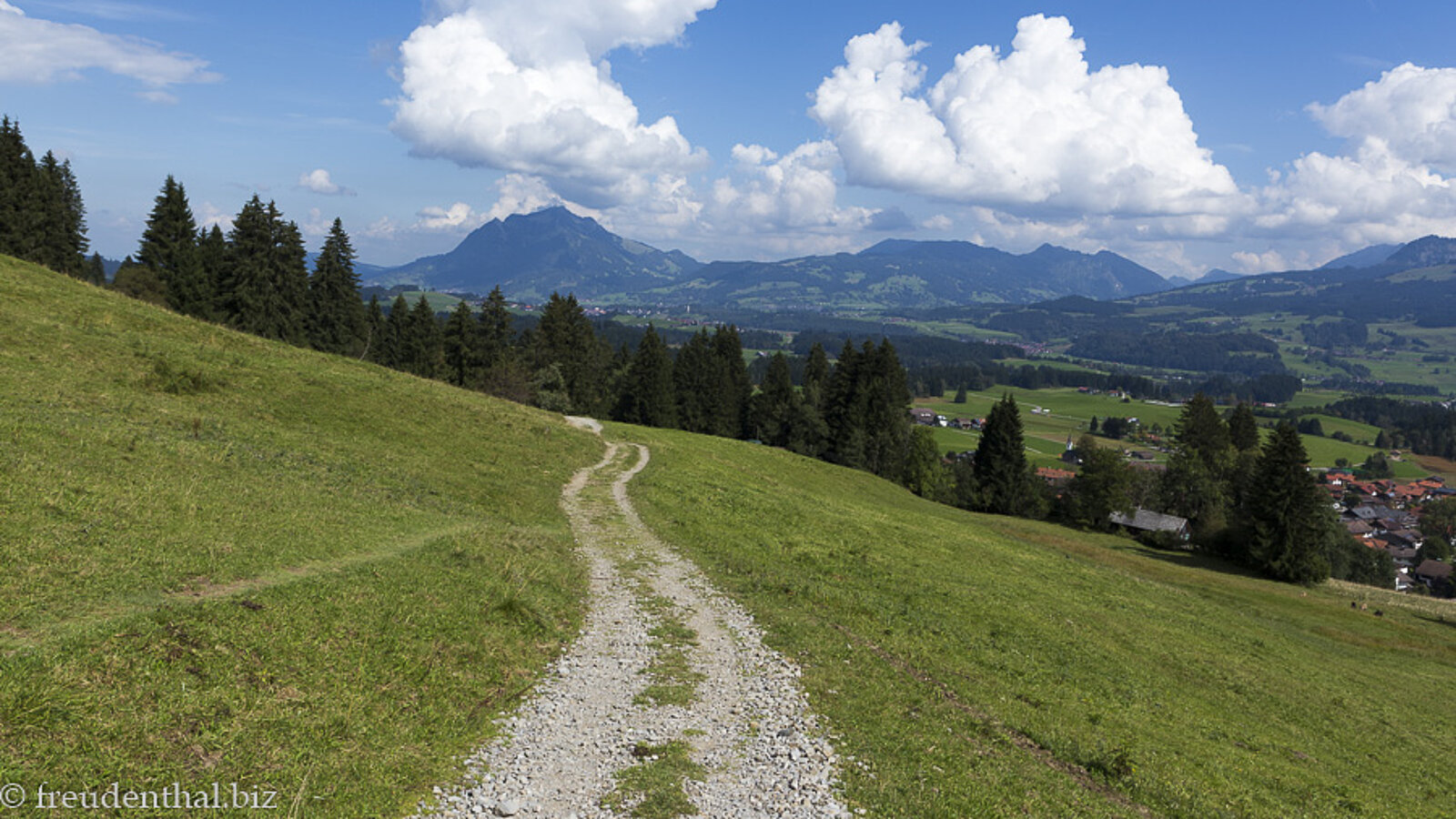 Aussicht vom Wanderweg der Hörnerbahn-Talstation zum Sonderdorfer Kreuz zum Grünten