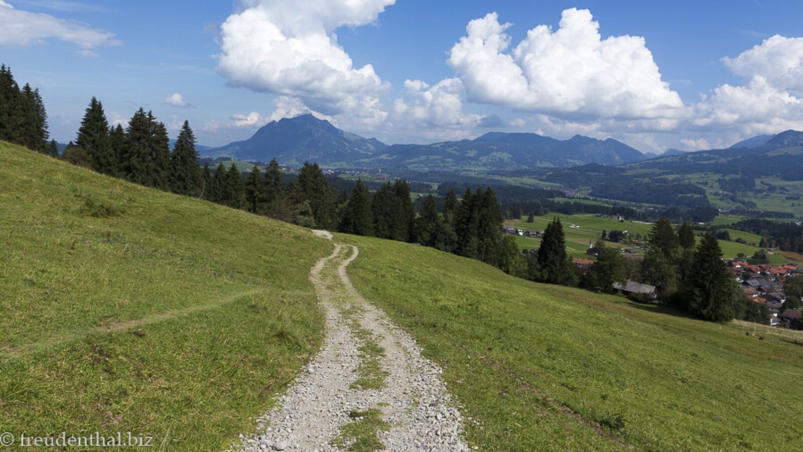 Aussicht vom Wanderweg der Hörnerbahn-Talstation zum Sonderdorfer Kreuz zum Grünten
