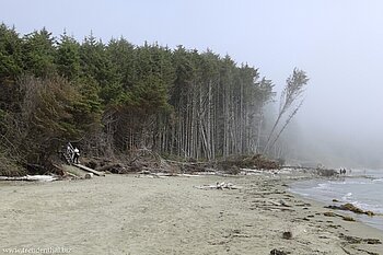 neblig und kühl wird es am Combers Beach
