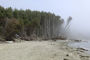 neblig und kühl wird es am Combers Beach