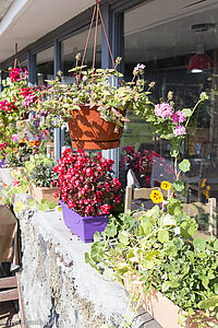 Blumenschmuck beim Hotel Les Geraniums