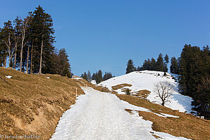 Wanderweg Rieden - Tanzboden