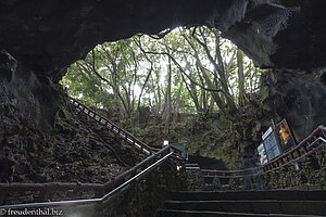 Von Bäumen umsäumter Schlund der Manjanggul Lavahöhle