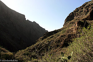 Blick über die Berghänge des Barranco del Infierno