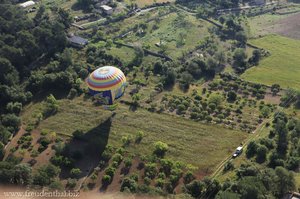 Heißluftballon-Landung auf einem Distelfeld