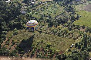 Heißluftballon-Landung auf einem Distelfeld