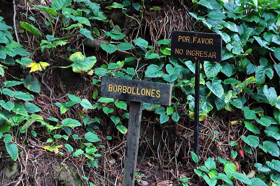 Bei den Borbollones am Río Celeste, Costa Rica