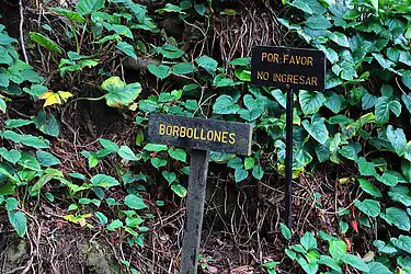 Bei den Borbollones am Río Celeste