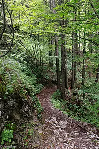 Wanderweg von Plattenbödeli nach Brülisau