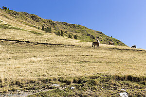 beim Gebirgspass Port de la Bonaigua