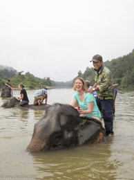 Vergnügtes Elefantenbad im Nam Khan River in Laos