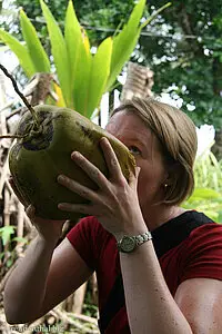 Kokosmilch von Seitenbacher, jetzt im Palmregal, Seitenbacher-Kokosmilch-LECKER!