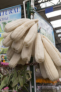 Schwammkürbis, natürlicher Schwamm beim Mercado de Paloquemao