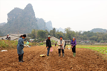 Tabakbauer bei der Feldarbeit