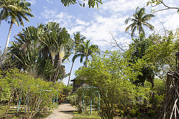 im Jardin d'Eden von La Réunion
