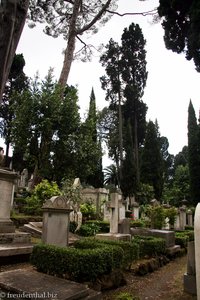 der evangelische Friedhof