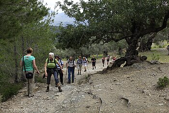 geführte Wandergruppe auf dem Weg nach Déia