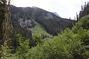 Joffre Provincial Park