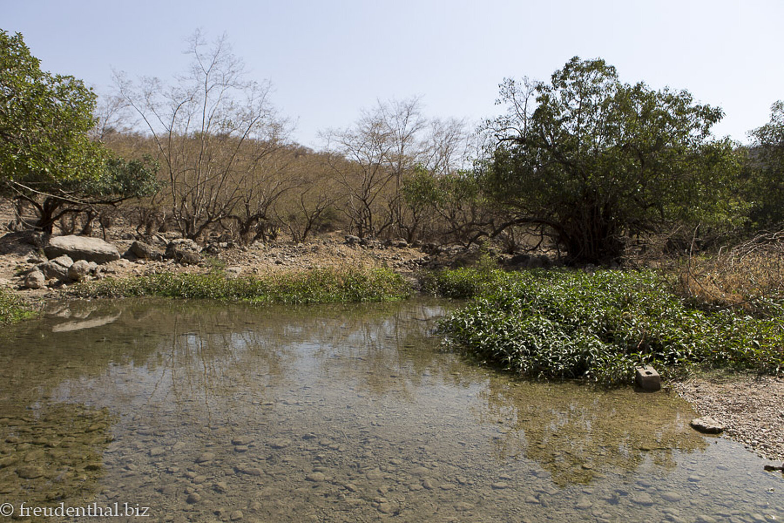 Wasser im Quellbach Ayn Tabrook in der Region Dhofar im Oman
