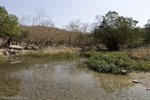 Flusslauf beim Ayn Tabrook im Oman