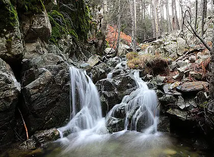 Tour zu den Kaledonischen Wasserfällen