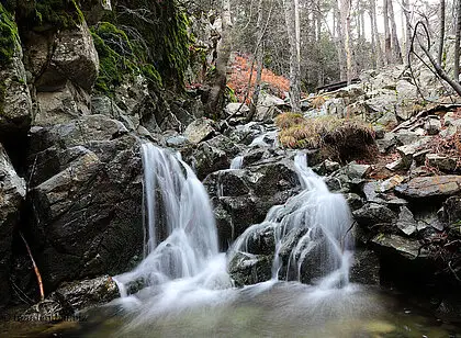 Tour zu den Kaledonischen Wasserfällen