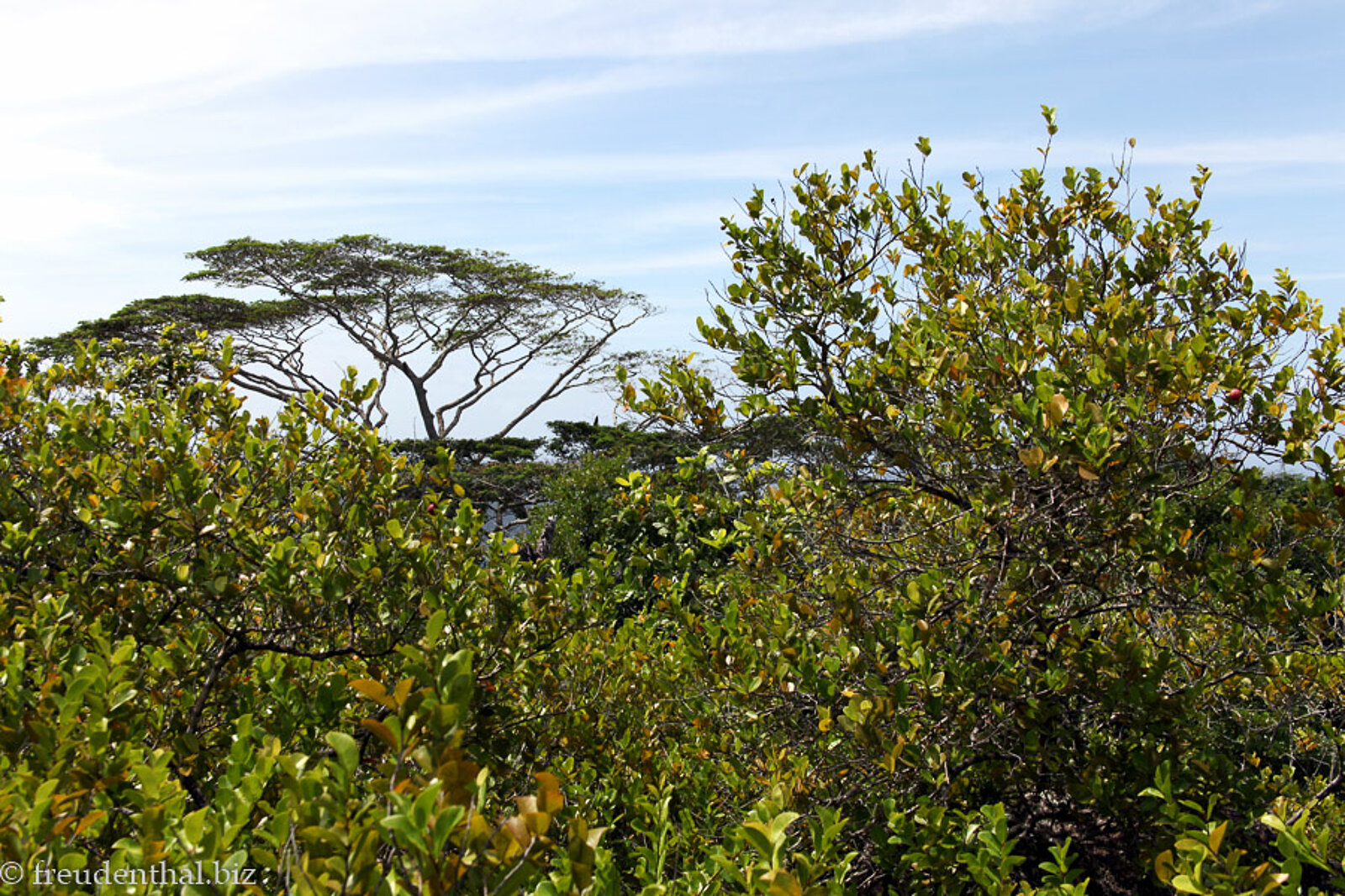 Aussicht des Nebengipfels auf dem Nid d'Aigle auf La Digue, Seychellen