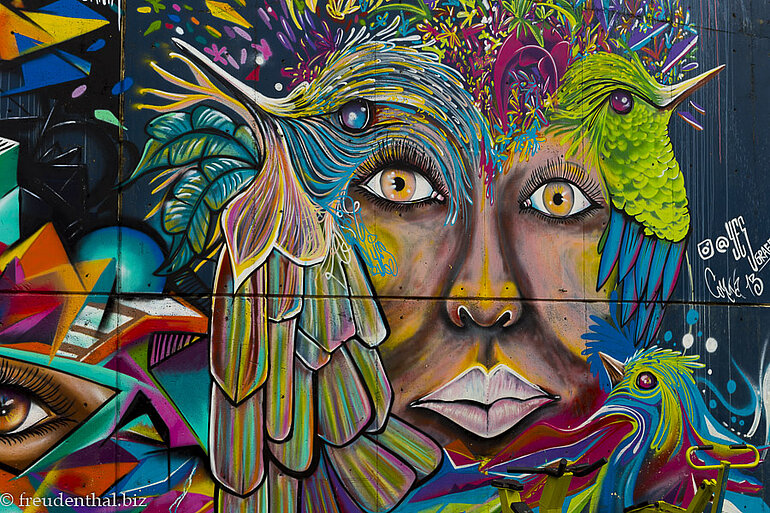 Vögel und Gesicht auf dem Graffito der Comuna 13 in Medellín.