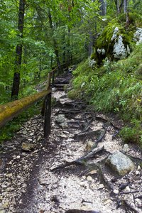 Wanderweg zum Pericnik Wasserfall