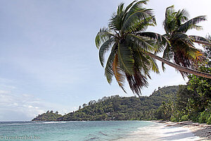 Palmen über dem schmalen Strand der Baie Lazare