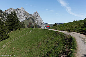 Wanderweg von Zwäcken zum Holzegg