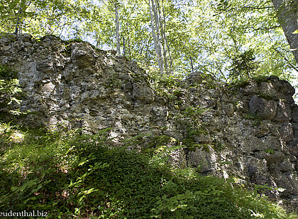 Spärliche Mauerreste der einst mächtigen Burg Rothenfels
