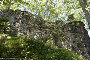 spärliche Mauerreste der einst stolzen Burg Rothenfels