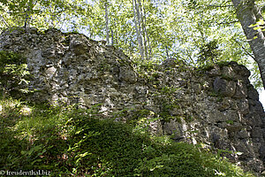 spärliche Mauerreste der einst stolzen Burg Rothenfels