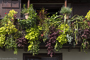 Balkone sind mit vielen Blumen geschmückt.