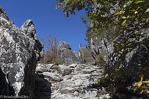 Blauer Himmel über uns beim Gayasan Nationalpark