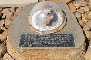 Schädel beim Visitor Center von Morapeng in Südafrika