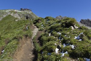 schmaler Weg beim Aufstieg über den Südgrat aufs Nebelhorn