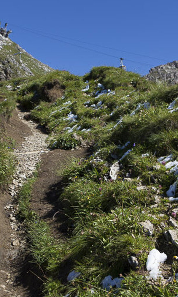 schmaler Weg beim Aufstieg über den Südgrat aufs Nebelhorn