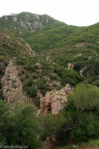 Berglandschaft im Südosten Sardiniens