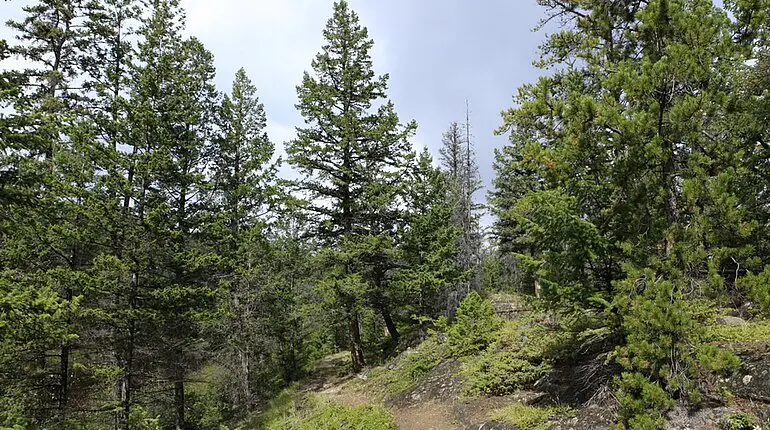 Wanderweg zwischen dem zweiten und ersten See