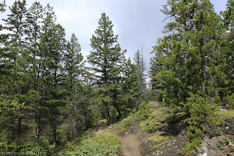 Wanderweg zwischen dem zweiten und ersten See
